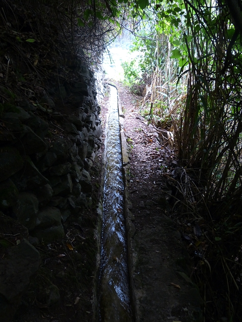 2 August 2014 5 Levadas around Maroços — On along the Levada do Marocos 2 to above Marocos — photo 20