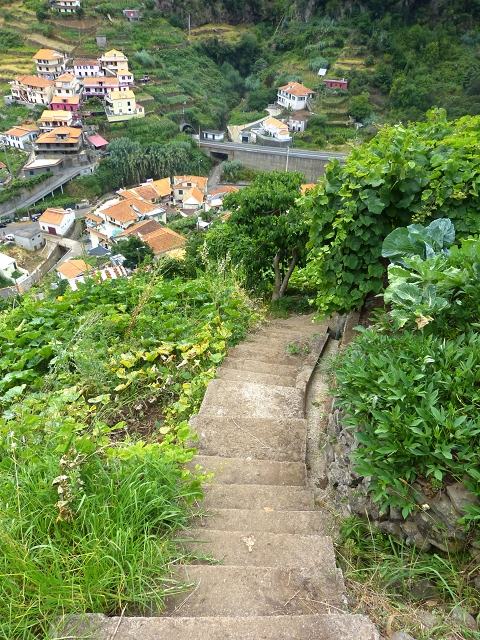 2 August 2014 5 Levadas around Maroços — Descent to Marocos and to the Madre of the Levada do Canical — photo 1