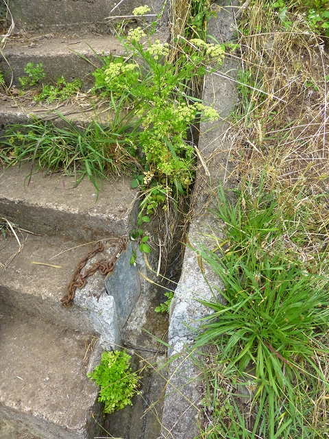 2 August 2014 5 Levadas around Maroços — Descent to Marocos and to the Madre of the Levada do Canical — photo 2