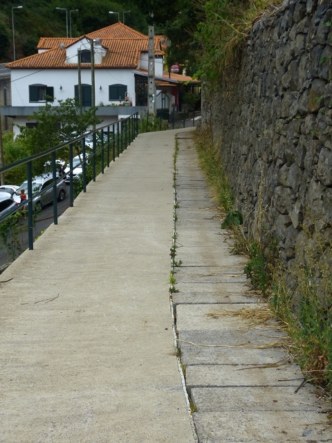 2 August 2014 5 Levadas around Maroços — Descent to Marocos and to the Madre of the Levada do Canical — photo 4