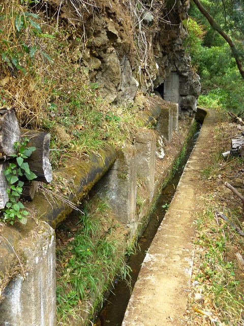2 August 2014 5 Levadas around Maroços — On the Levada Nova de Machico to the small water house — photo 11