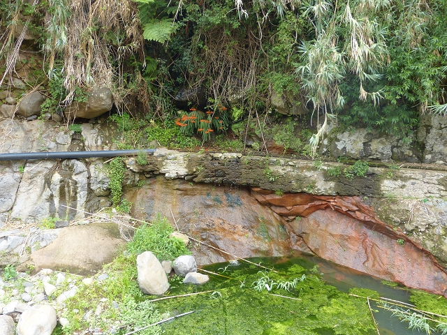 2 August 2014 5 Levadas around Maroços — Marocos and the climb back up to the Levada Nova de Machico — photo 7