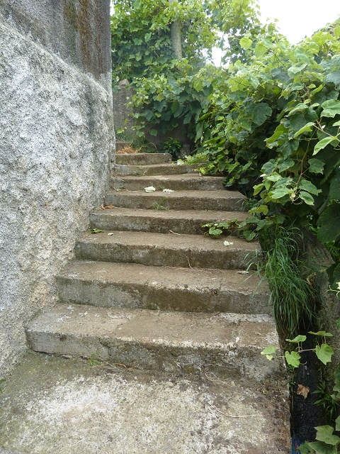 2 August 2014 5 Levadas around Maroços — Marocos and the climb back up to the Levada Nova de Machico — photo 8