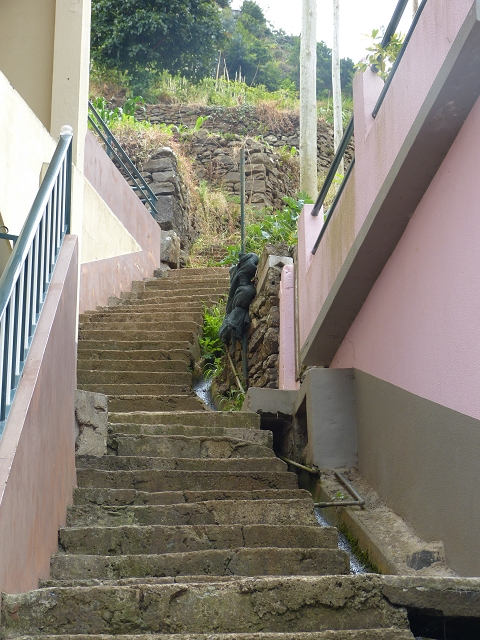 2 August 2014 5 Levadas around Maroços — Marocos and the climb back up to the Levada Nova de Machico — photo 11