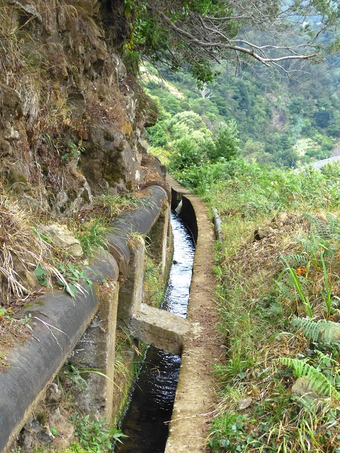 2 August 2014 5 Levadas around Maroços — On the Levada Nova de Machico to the small water house — photo 13
