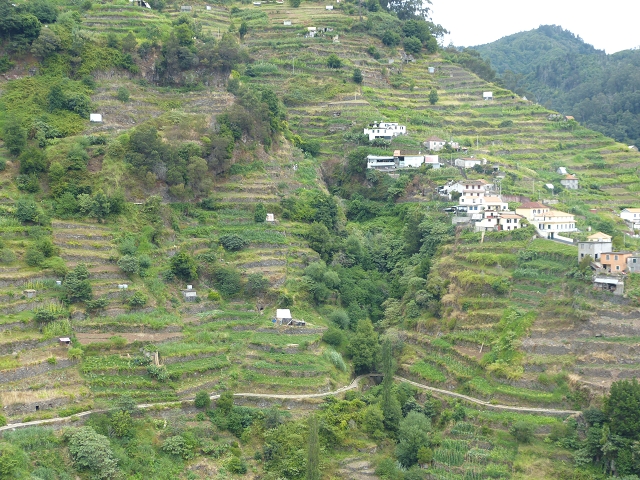 2 August 2014 5 Levadas around Maroços — Marocos and the climb back up to the Levada Nova de Machico — photo 13