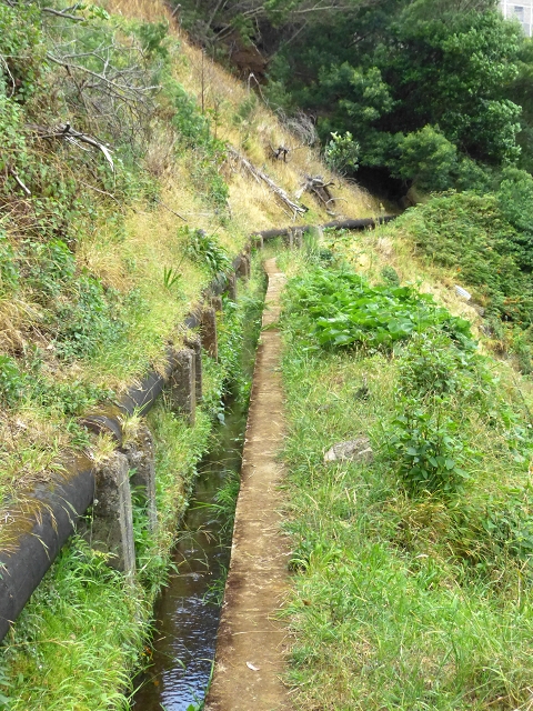 2 August 2014 5 Levadas around Maroços — On the Levada Nova de Machico to the small water house — photo 14