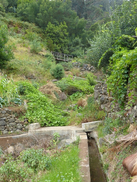 2 August 2014 5 Levadas around Maroços — On to the starting point and beyond, then back to the starting point — photo 10