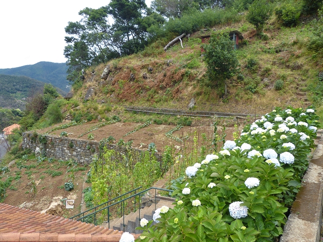 2 August 2014 5 Levadas around Maroços — On to the starting point and beyond, then back to the starting point — photo 11