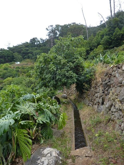 2 August 2014 5 Levadas around Maroços — On to the starting point and beyond, then back to the starting point — photo 13