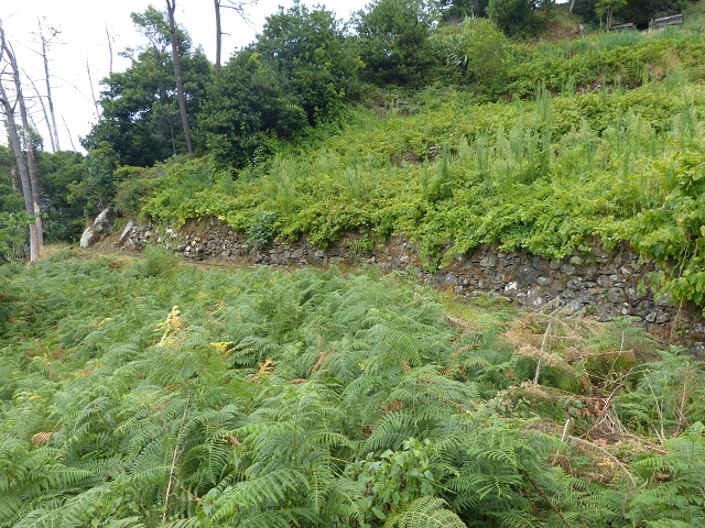 2 August 2014 5 Levadas around Maroços — On to the starting point and beyond, then back to the starting point — photo 15