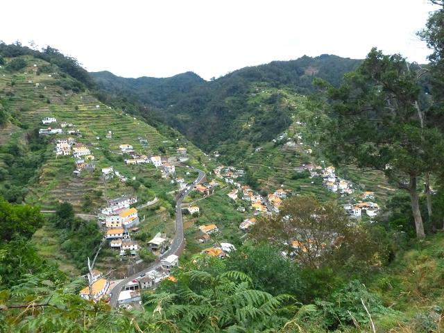 2 August 2014 5 Levadas around Maroços — On the Levada Nova de Machico to the small water house — photo 15