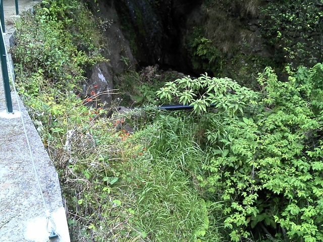2 August 2014 5 Levadas around Maroços — Starting point 2, back to the Levada do Marocos 2 and along it to the end — photo 5