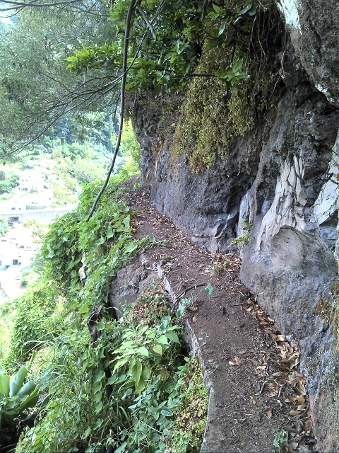 2 August 2014 5 Levadas around Maroços — Starting point 2, back to the Levada do Marocos 2 and along it to the end — photo 8