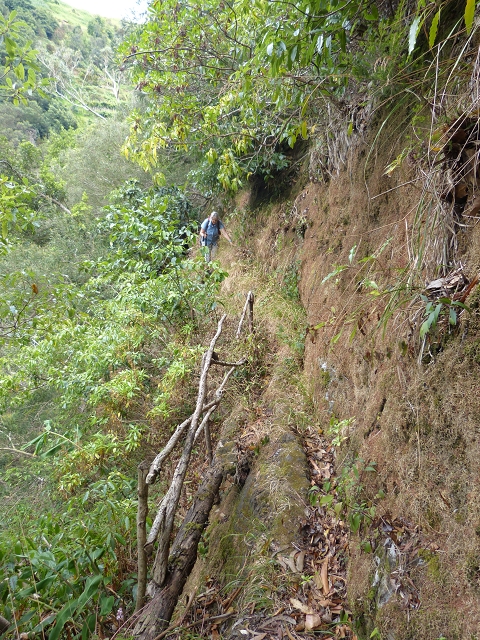 2 August 2014 5 Levadas around Maroços — Starting point 2, back to the Levada do Marocos 2 and along it to the end — photo 12