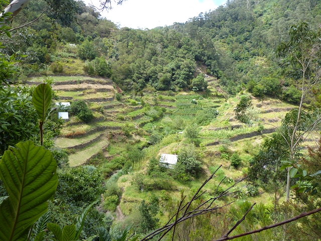 2 August 2014 5 Levadas around Maroços — Starting point 2, back to the Levada do Marocos 2 and along it to the end — photo 13