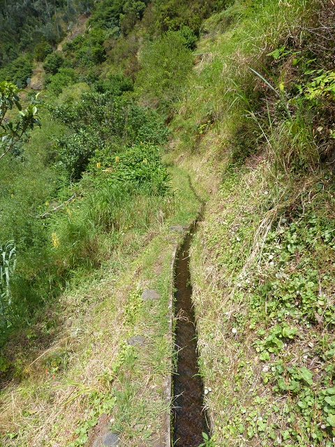 2 August 2014 5 Levadas around Maroços — Onto the Levada do Marocos 4, descent to the Levada do Canical — photo 1