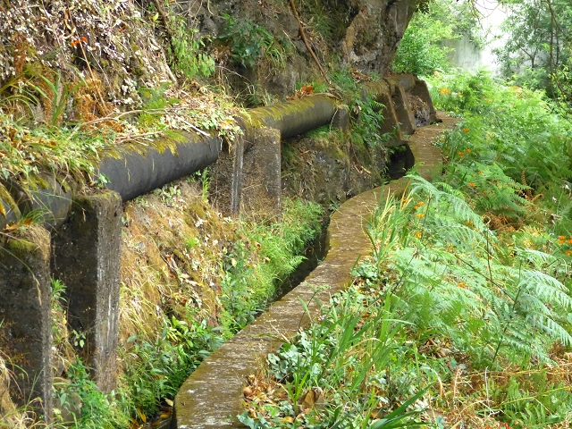 2 August 2014 5 Levadas around Maroços — On the Levada Nova de Machico to the small water house — photo 17