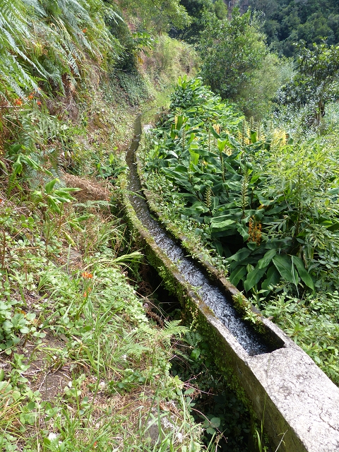 2 August 2014 5 Levadas around Maroços — Onto the Levada do Marocos 4, descent to the Levada do Canical — photo 4