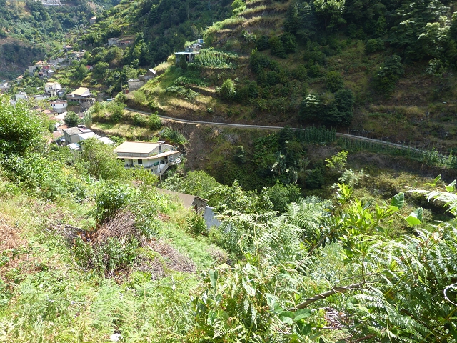 2 August 2014 5 Levadas around Maroços — Onto the Levada do Marocos 4, descent to the Levada do Canical — photo 8