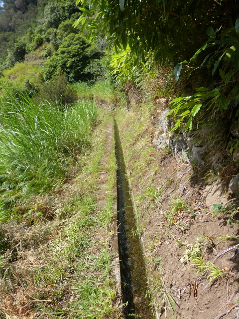 2 August 2014 5 Levadas around Maroços — Onto the Levada do Marocos 4, descent to the Levada do Canical — photo 9
