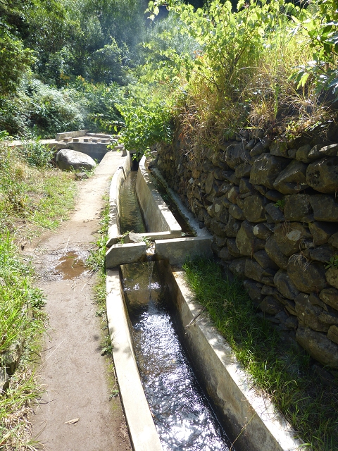 2 August 2014 5 Levadas around Maroços — Onto the Levada do Marocos 4, descent to the Levada do Canical — photo 11
