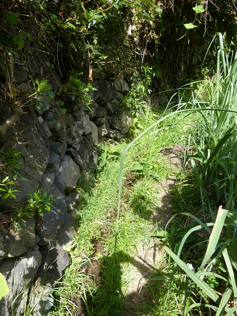 2 August 2014 5 Levadas around Maroços — On the Levada do Canical, descent to the Levada do Marocos 3, over the levada bridge and back to starting point 2 — photo 2