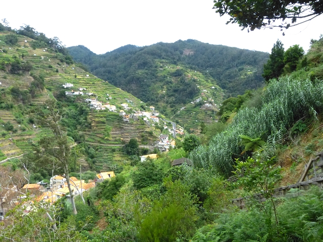 2 August 2014 5 Levadas around Maroços — On the Levada Nova de Machico to the small water house — photo 18