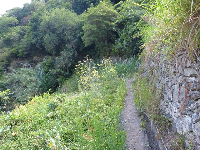 2 August 2014 5 Levadas around Maroços — On the Levada do Canical, descent to the Levada do Marocos 3, over the levada bridge and back to starting point 2 — photo 4