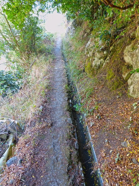 2 August 2014 5 Levadas around Maroços — On the Levada do Canical, descent to the Levada do Marocos 3, over the levada bridge and back to starting point 2 — photo 5