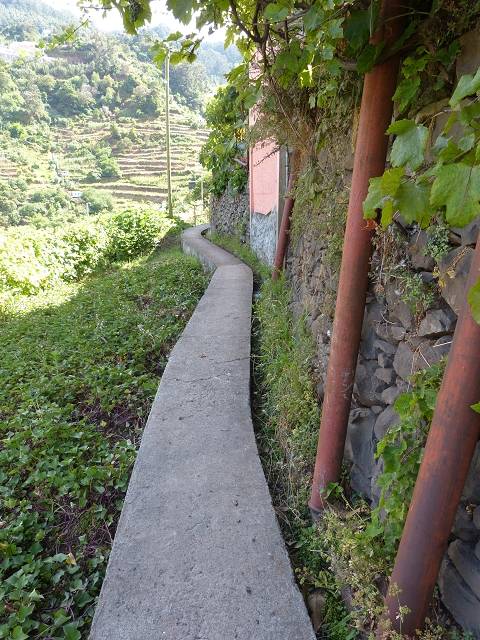 2 August 2014 5 Levadas around Maroços — On the Levada do Canical, descent to the Levada do Marocos 3, over the levada bridge and back to starting point 2 — photo 7