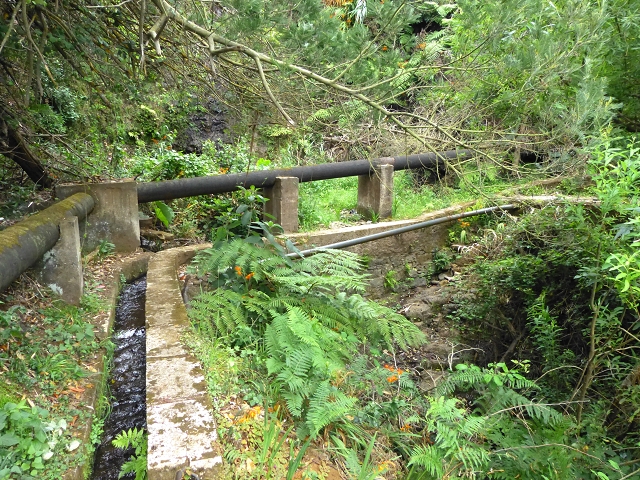 2 August 2014 5 Levadas around Maroços — On the Levada Nova de Machico to the small water house — photo 19