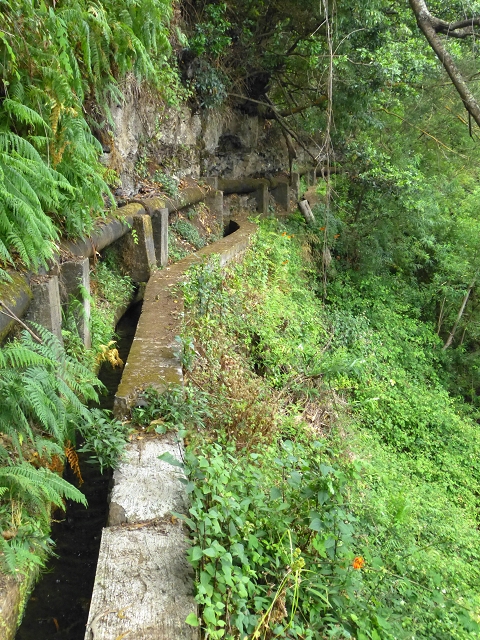 2 August 2014 5 Levadas around Maroços — On to the Madre — photo 2