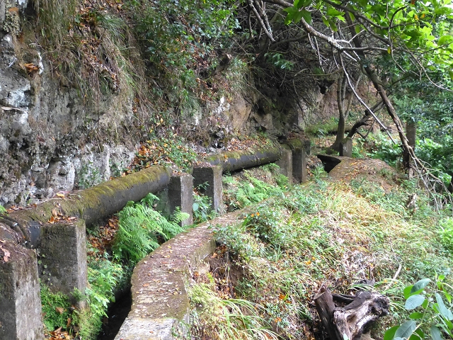 2 August 2014 5 Levadas around Maroços — On to the Madre — photo 3