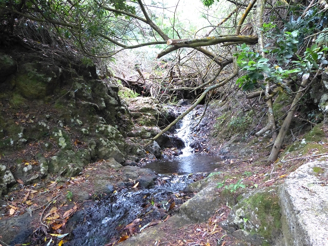 2 August 2014 5 Levadas around Maroços — On to the Madre — photo 5