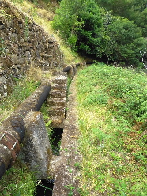 2 August 2014 5 Levadas around Maroços — On to the Madre — photo 6
