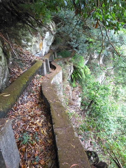 2 August 2014 5 Levadas around Maroços — On to the Madre — photo 9