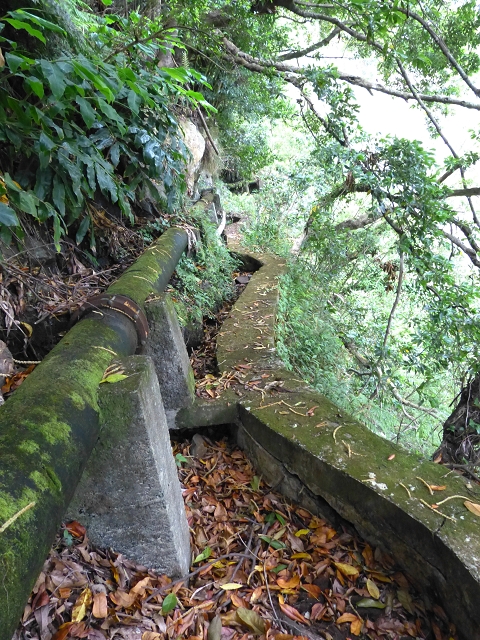 2 August 2014 5 Levadas around Maroços — On to the Madre — photo 11