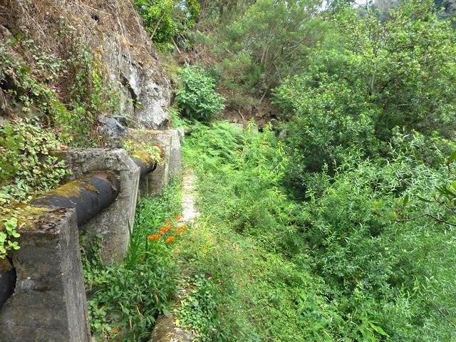 2 August 2014 5 Levadas around Maroços — On to the Madre — photo 12