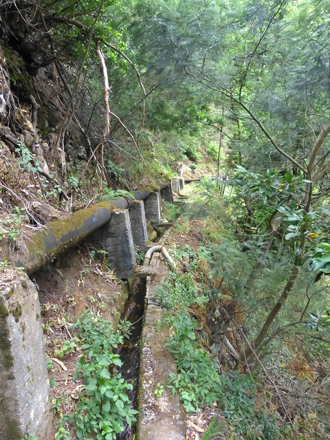2 August 2014 5 Levadas around Maroços — On to the Madre — photo 13