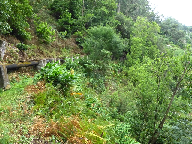 2 August 2014 5 Levadas around Maroços — On to the Madre — photo 14
