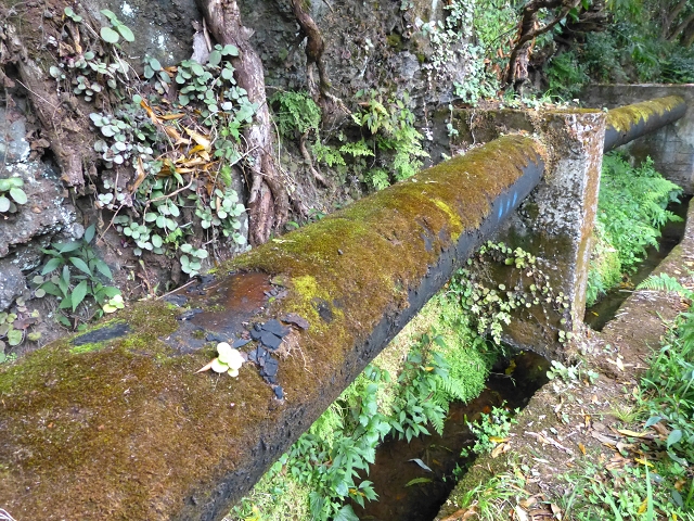 2 August 2014 5 Levadas around Maroços — On to the Madre — photo 15