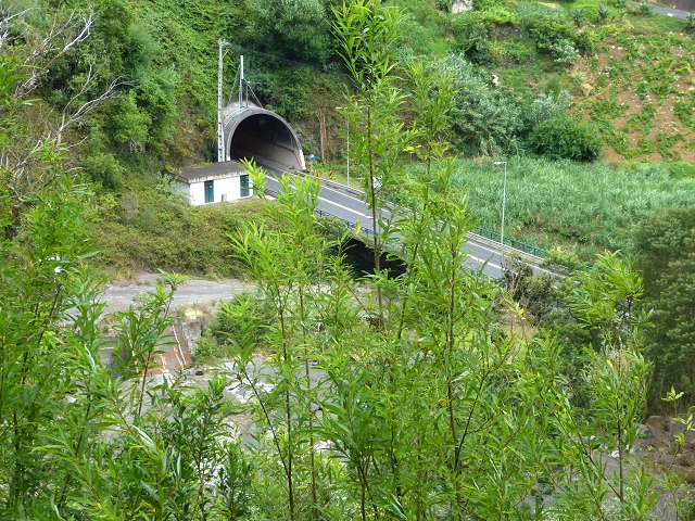 2 August 2014 5 Levadas around Maroços — On to the Madre — photo 16