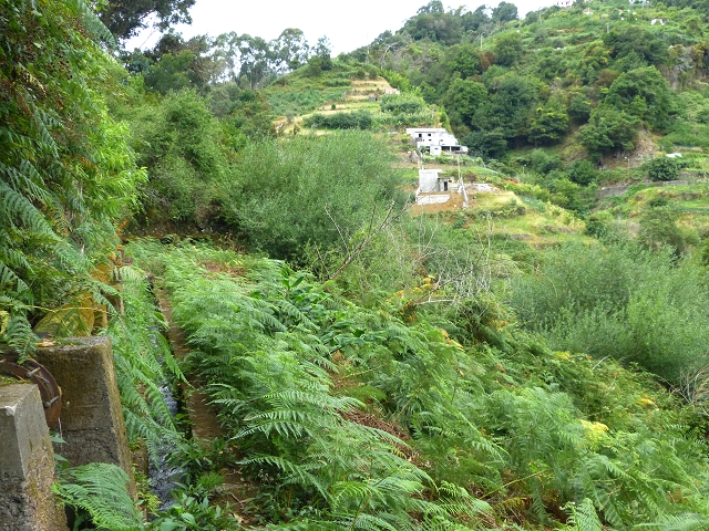 2 August 2014 5 Levadas around Maroços — On to the Madre — photo 18