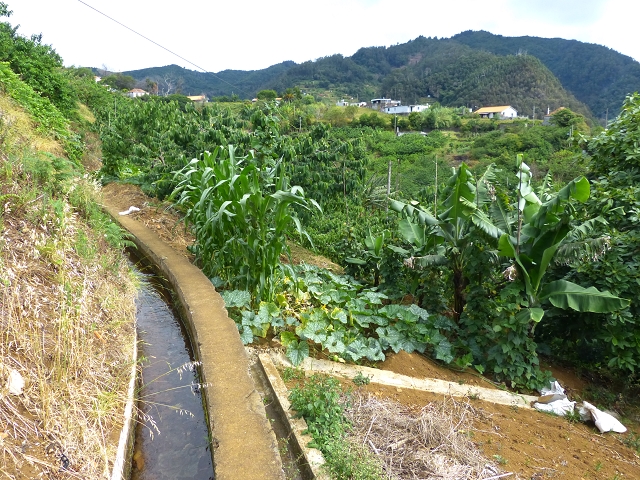 2 August 2014 5 Levadas around Maroços — On the Levada Nova de Machico to the small water house — photo 4