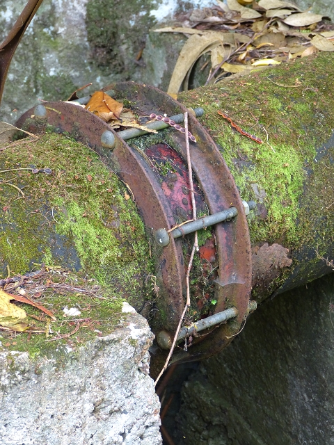 2 August 2014 5 Levadas around Maroços — On to the Madre — photo 20