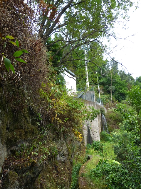 2 August 2014 5 Levadas around Maroços — On to the Madre — photo 21