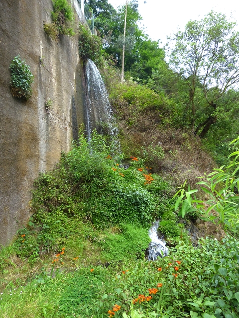 2 August 2014 5 Levadas around Maroços — On to the Madre — photo 23