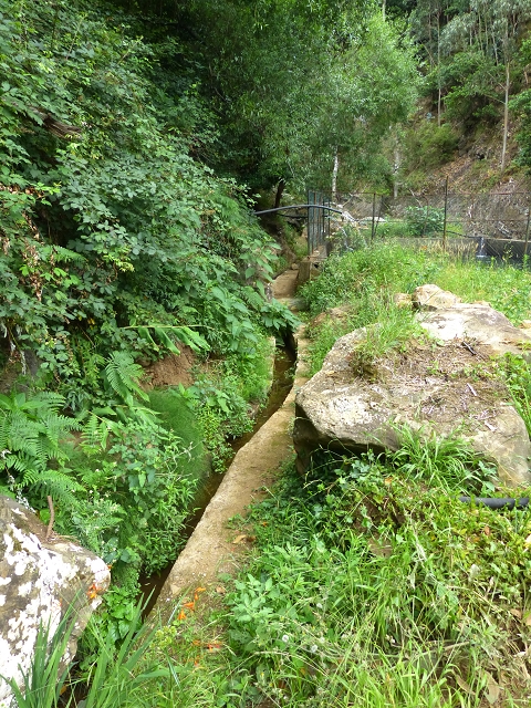 2 August 2014 5 Levadas around Maroços — On to the Madre — photo 24