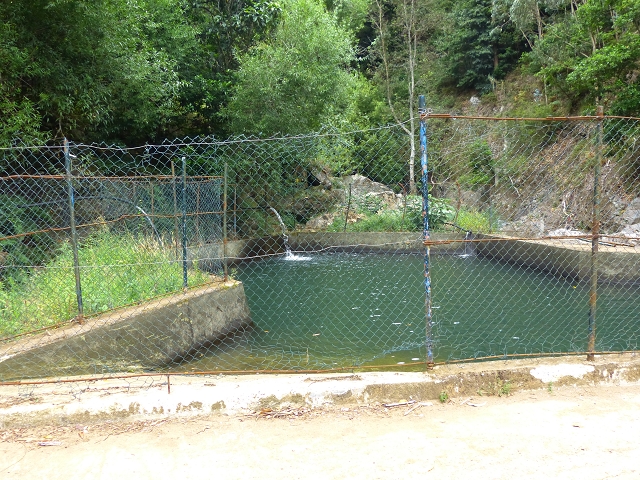 2 August 2014 5 Levadas around Maroços — On to the Madre — photo 25
